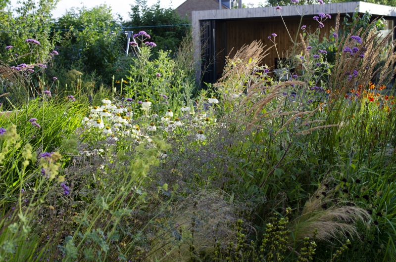 Whitstable Town Gardens